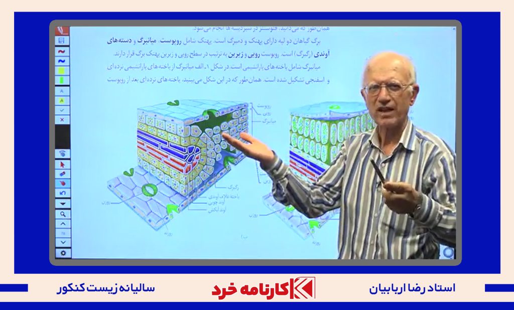 رضا اربابیان
